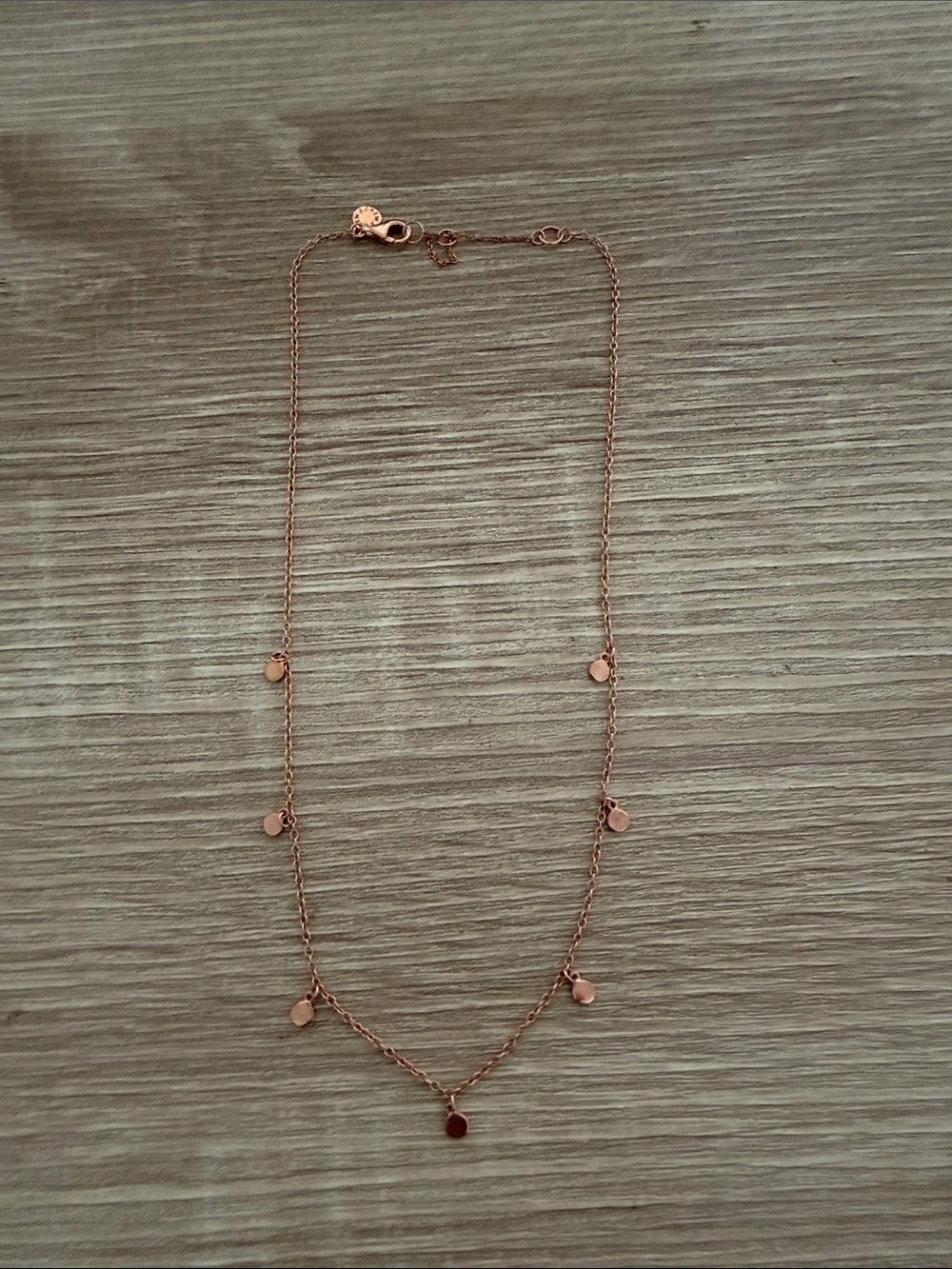 Delicate Rose Gold Disc Necklace - Women Jewelry